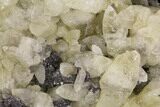 Calcite Crystal Clusters in Dolomite Matrix - Missouri #91117-1